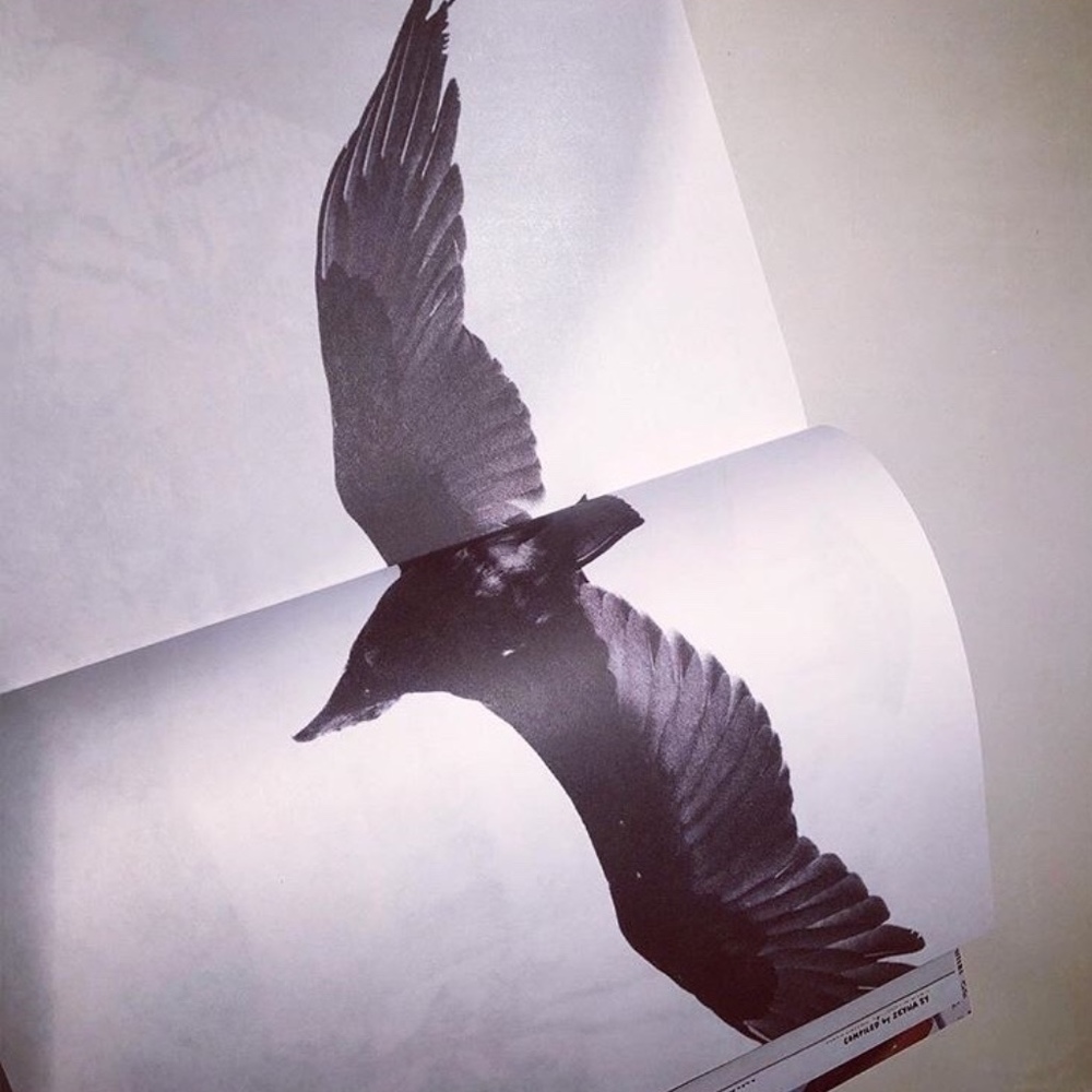 Meet your Posher, BEAST&BIRD.